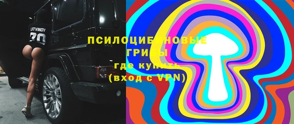 дживик Переславль-Залесский