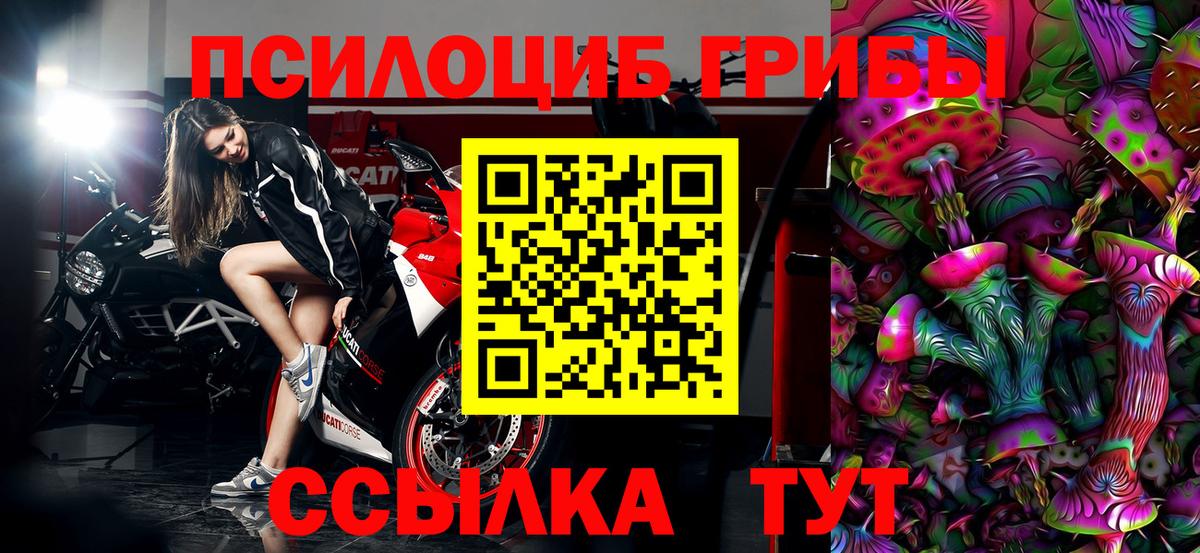 Псилоцибиновые грибы прущие грибы  Вход с VPN  Карпинск  купить   Псилоцибиновые грибы GOLDEN TEACHER 