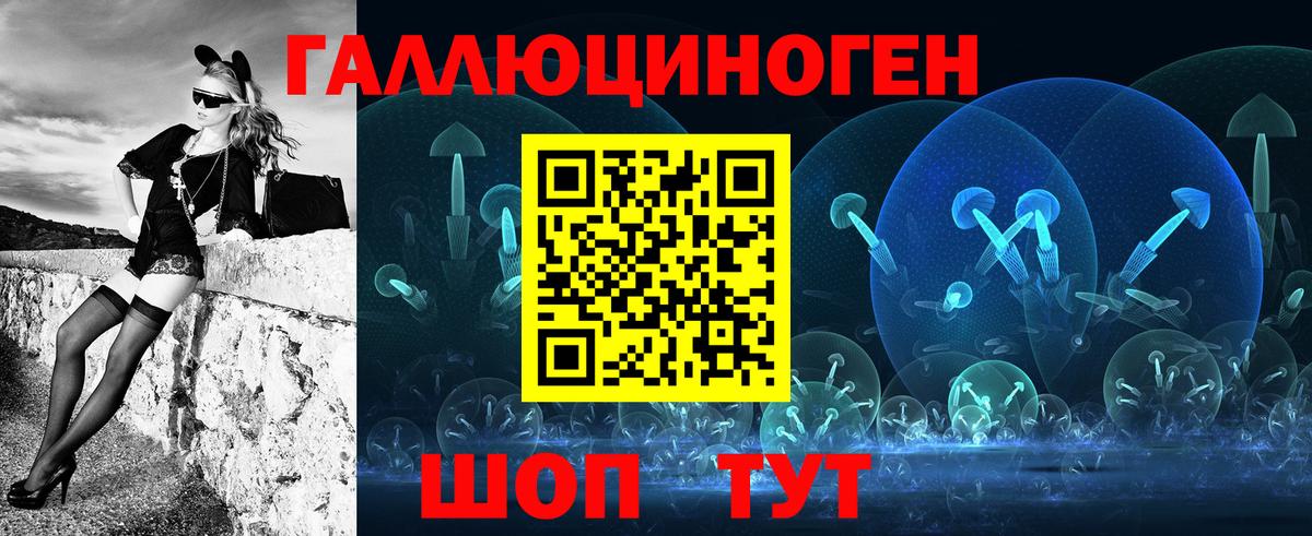 Галлюциногенные грибы Psilocybe Карпинск